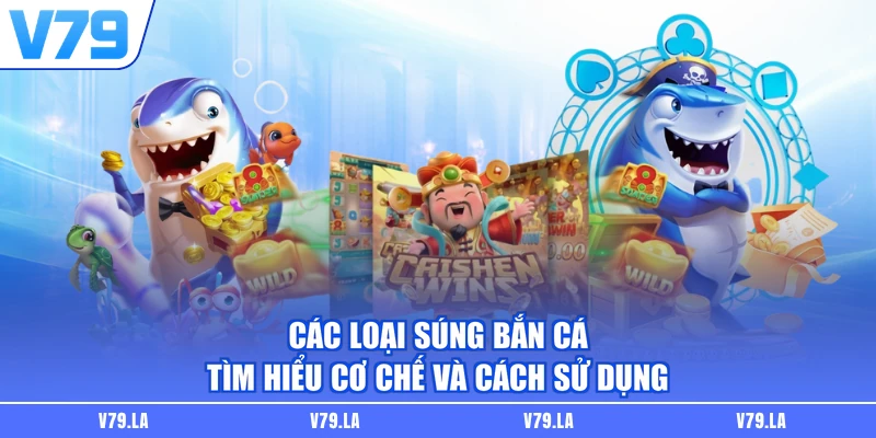 Các Loại Súng Bắn Cá | Tìm Hiểu Cơ Chế Và Cách Sử Dụng