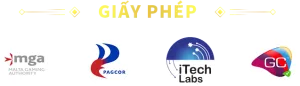 giấy phép hợp pháp v79