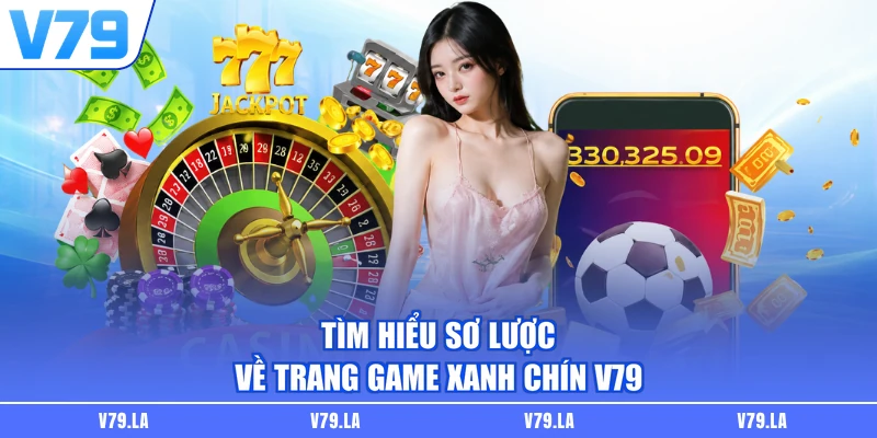 Tìm hiểu sơ lược về thương hiệu V79